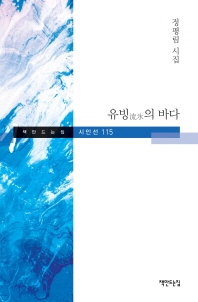 유빙의 바다 (책만드는집 시인선 115)